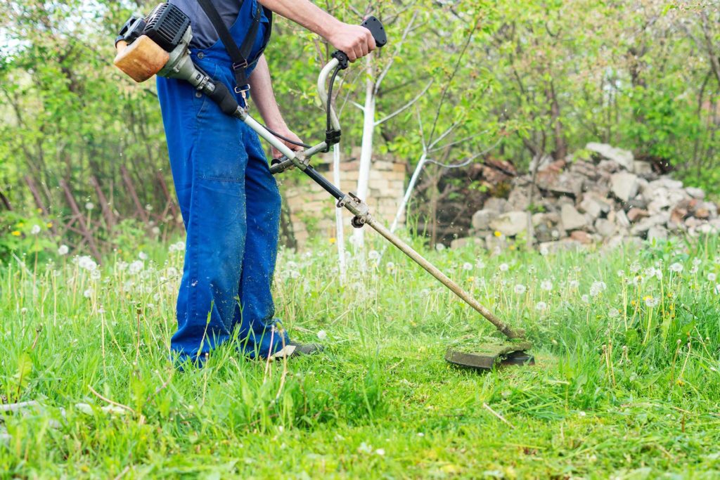 Man cutting his lawn with a weed whacker