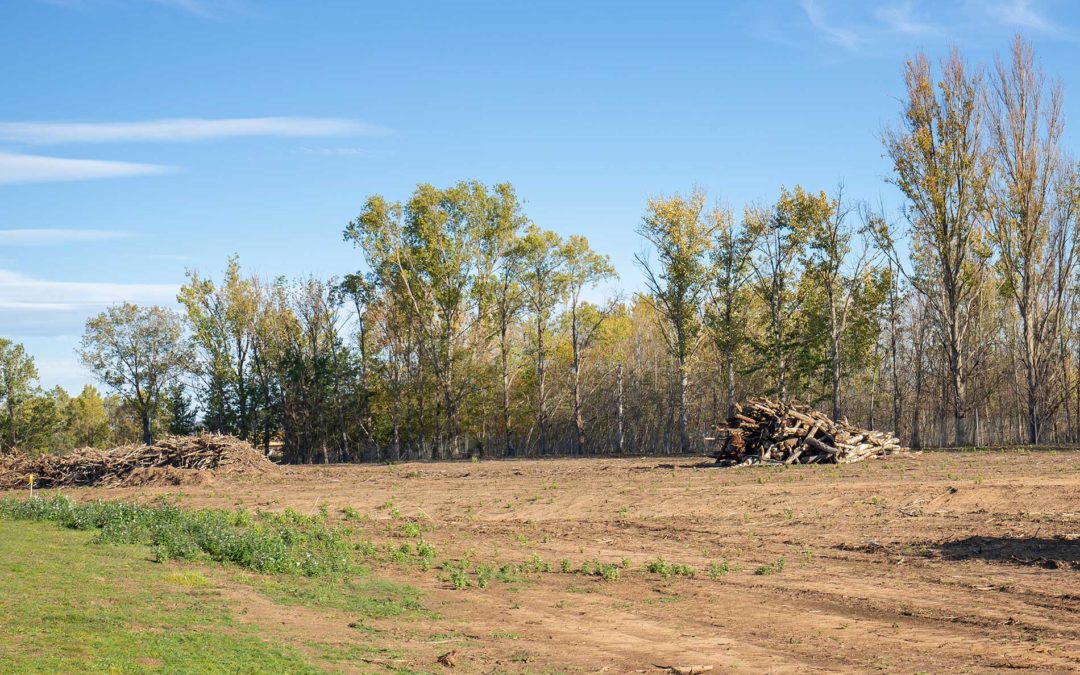 featuredimage-Enhancing-Land-Usability-Land-Clearing-Services-in-Southcentral-BC