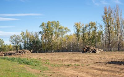 Enhancing Land Usability: Land Clearing Services in Southcentral BC