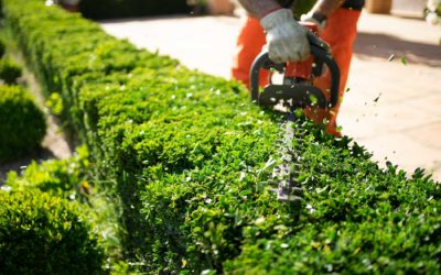 Spring Landscaping Services by Pine Valley Tree Service & Landscaping