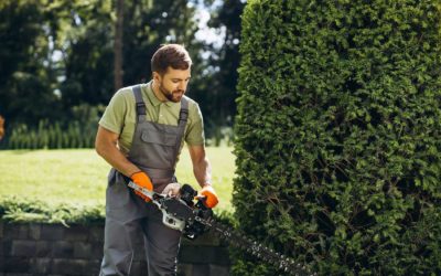 Why Choose Pine Valley Tree Services for Your Property?