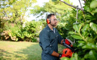 Tree and Landscaping Services in Vernon