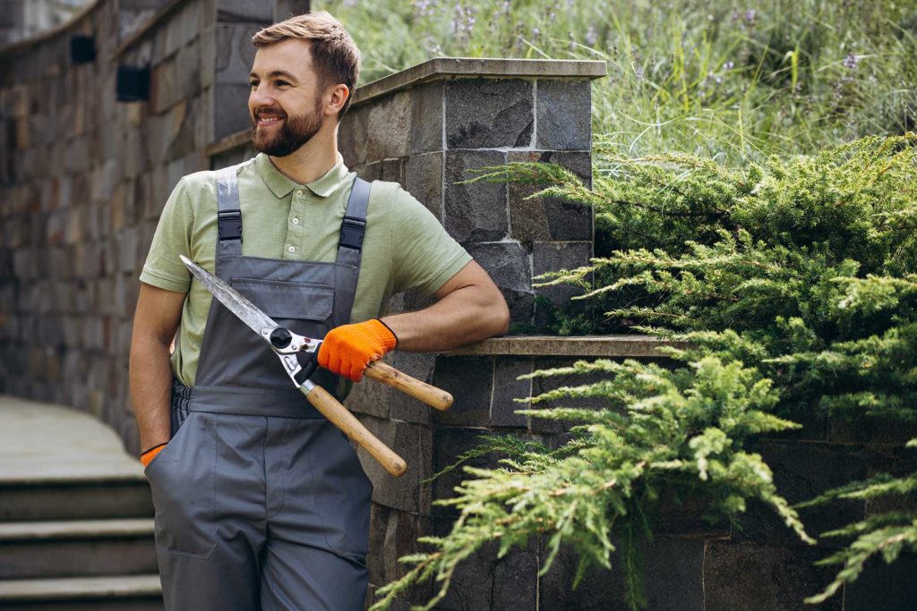 gardener with a cutting edge equipment to trim bushes