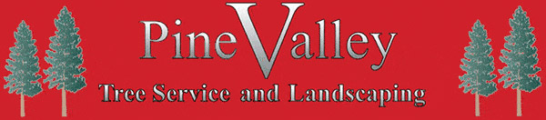 Pine Valley Tree Service - Tree service in Kamloops