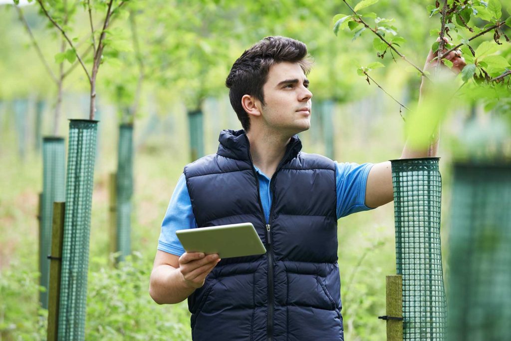 Field Arborists in Tree Care