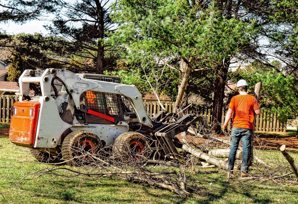 technician working on the tree branches and cutting them down