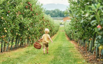 Fruit Trees of BC: Nurturing Nature’s Bounty