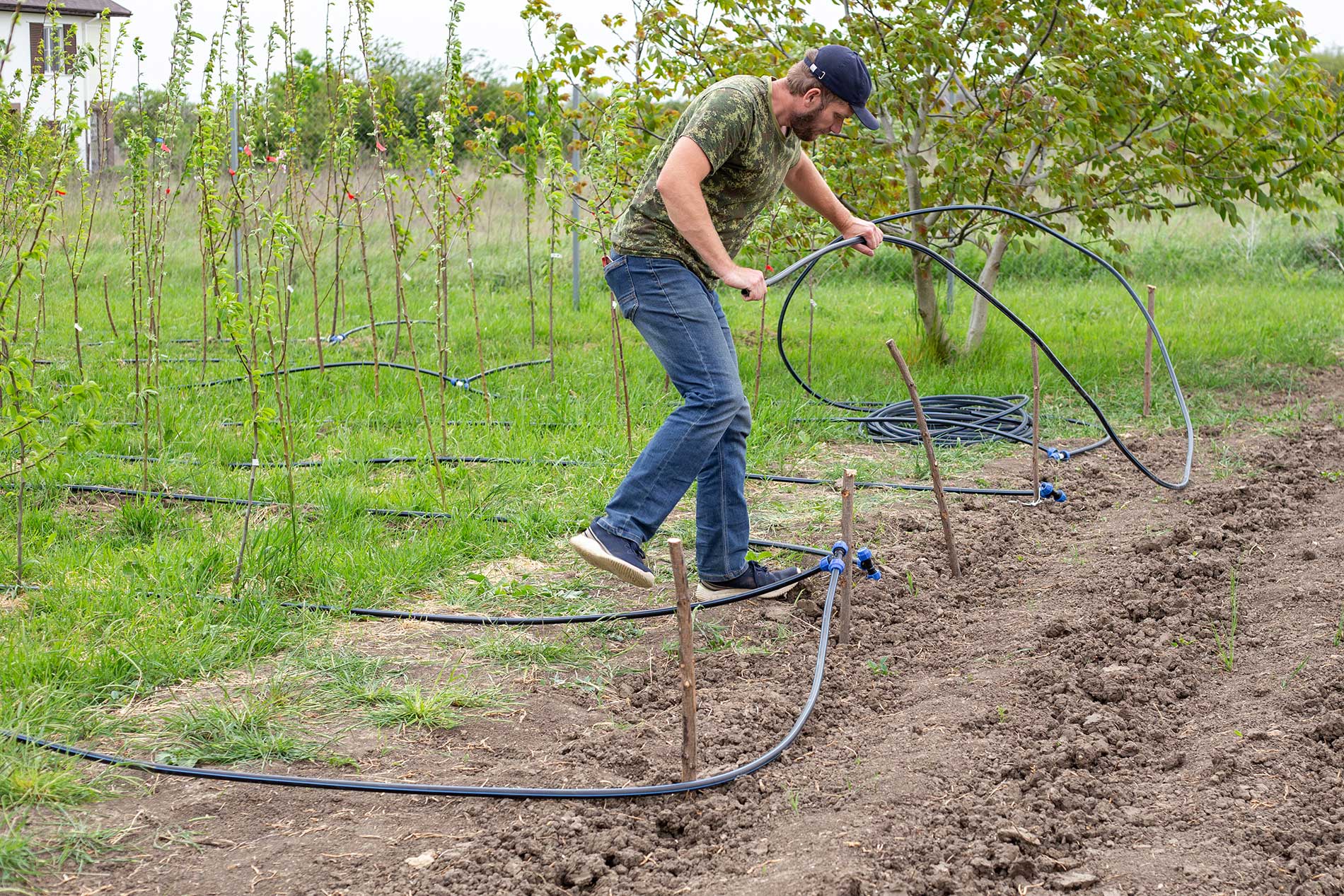 Keep Trees Alive During Summer Heat - Pine Valley Tree Services