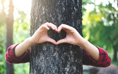 Supporting the Community: How Pine Valley Tree Services Gives Back to Kamloops and the Okanagan