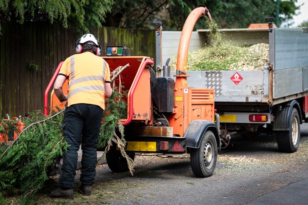 What is a Utility Arborist? Pine Valley Tree Services